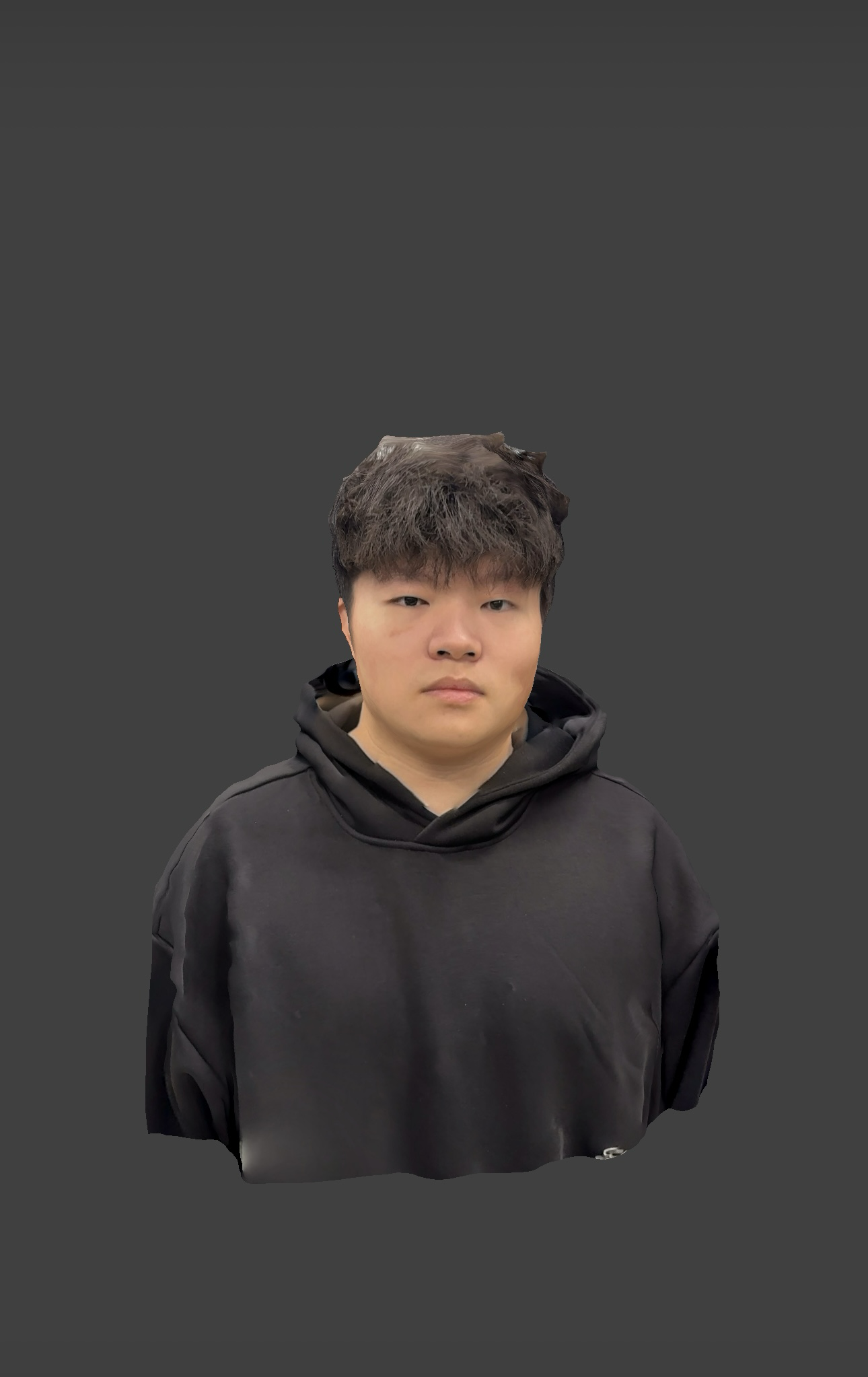 Display of the 3D scan of the figure